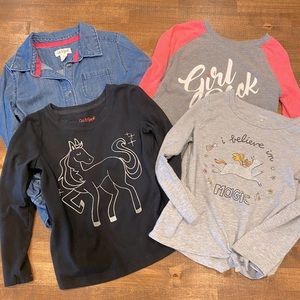 Lot of 4 Toddler Girls L/S Tops